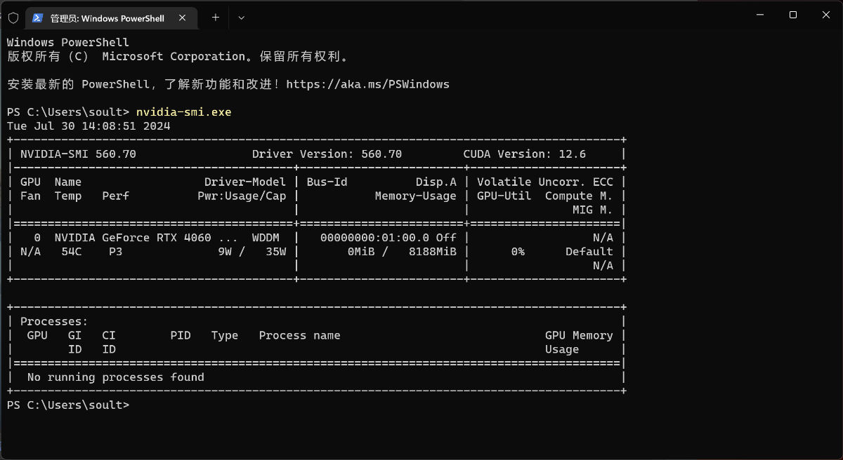 使用 nvidia-smi 来检查显卡状态