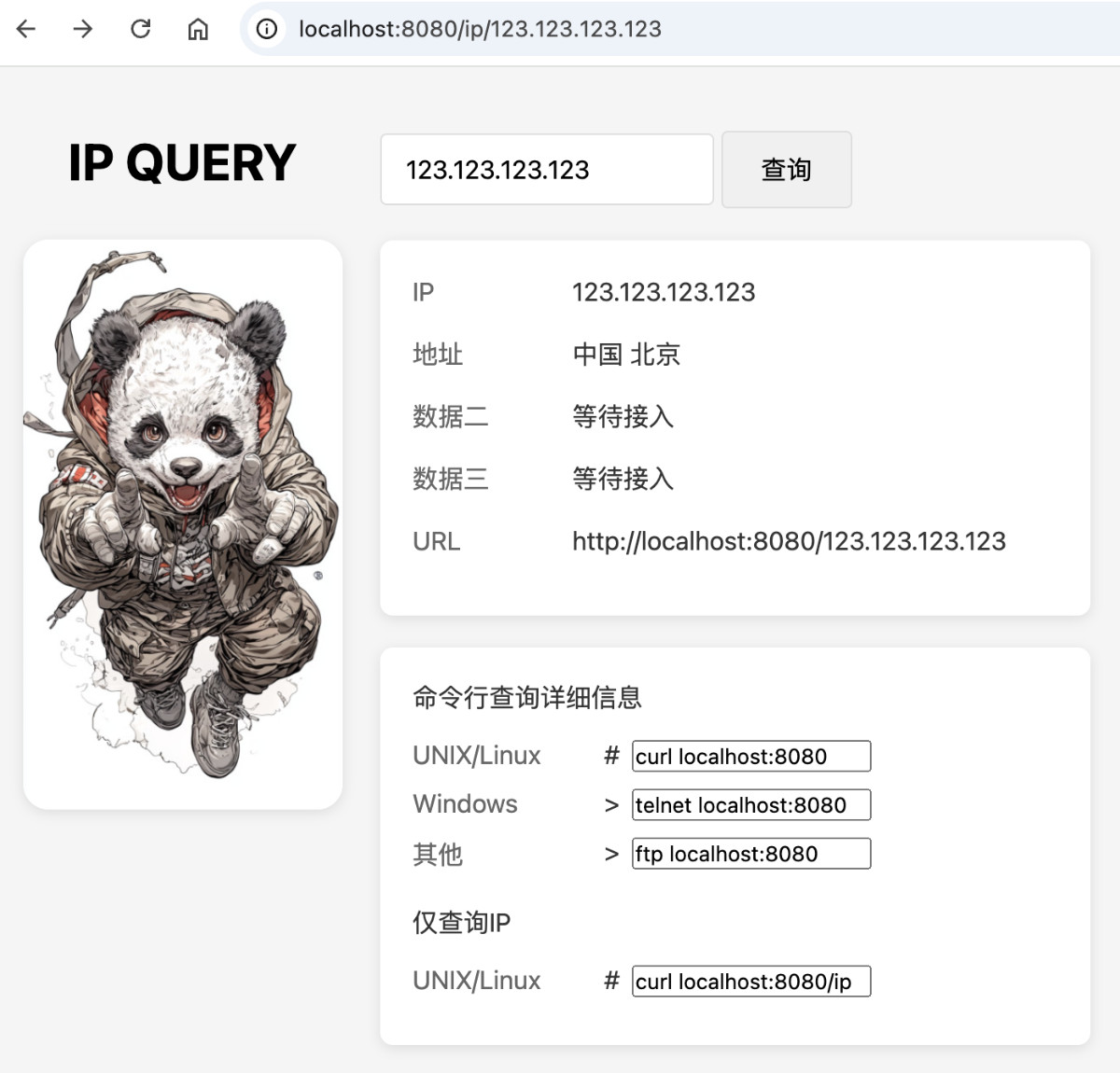 支持查询指定 IP 的信息